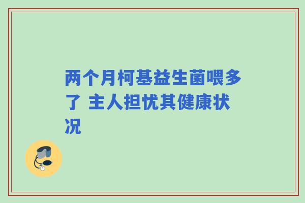 两个月柯基益生菌喂多了 主人担忧其健康状况