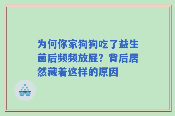 为何你家狗狗吃了益生菌后频频放屁？背后居然藏着这样的原因