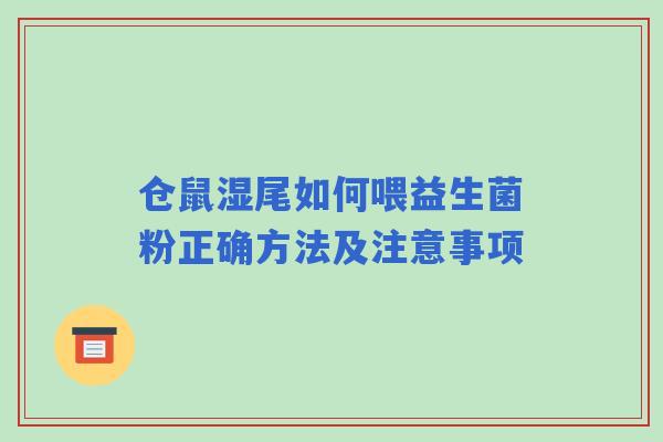 仓鼠湿尾如何喂益生菌粉正确方法及注意事项