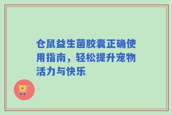仓鼠益生菌胶囊正确使用指南，轻松提升宠物活力与快乐