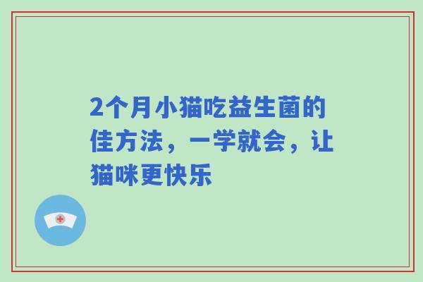 2个月小猫吃益生菌的佳方法，一学就会，让猫咪更快乐