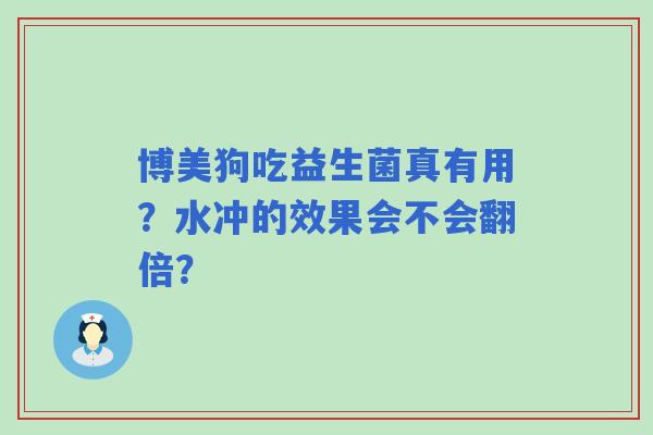 博美狗吃益生菌真有用？水冲的效果会不会翻倍？