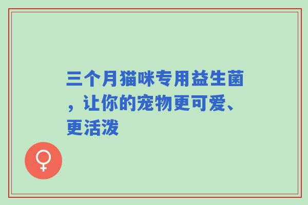 三个月猫咪专用益生菌，让你的宠物更可爱、更活泼