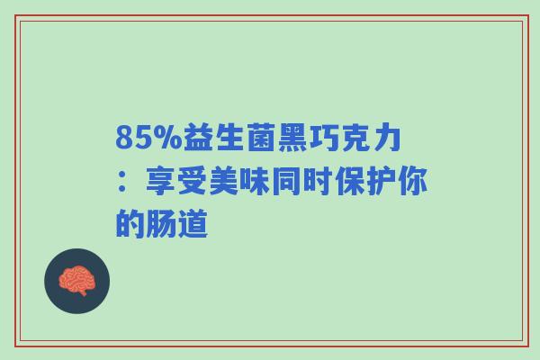 85%益生菌黑巧克力:享受美味同时保护你的肠道 85%益生菌黑巧克力:享受美味同时保护你的肠道