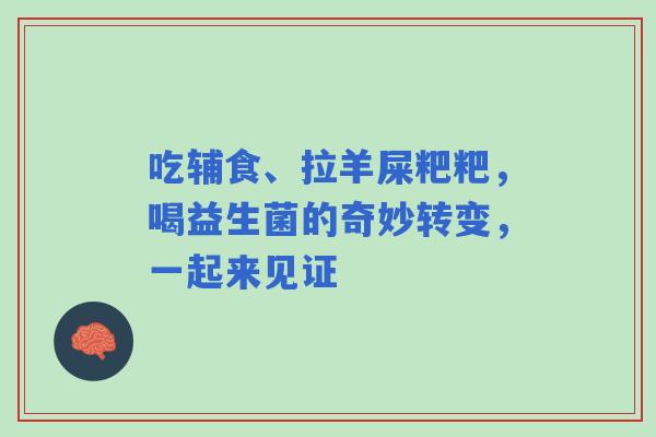 吃辅食、拉羊屎粑粑，喝益生菌的奇妙转变，一起来见证