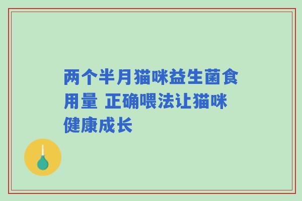 两个半月猫咪益生菌食用量 正确喂法让猫咪健康成长