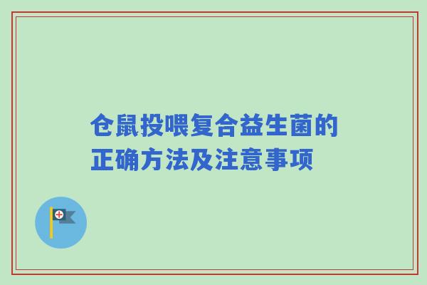 仓鼠投喂复合益生菌的正确方法及注意事项