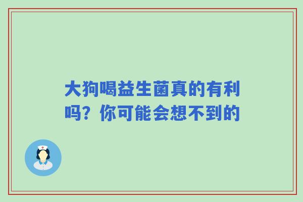 大狗喝益生菌真的有利吗？你可能会想不到的