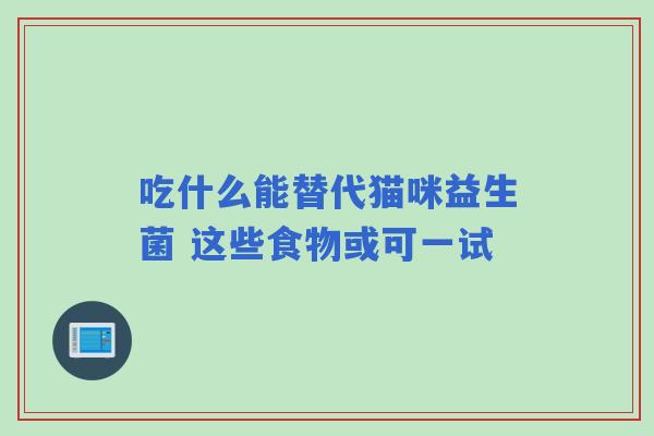 吃什么能替代猫咪益生菌 这些食物或可一试