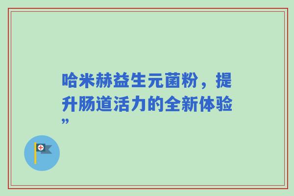 哈米赫益生元菌粉，提升肠道活力的全新体验”