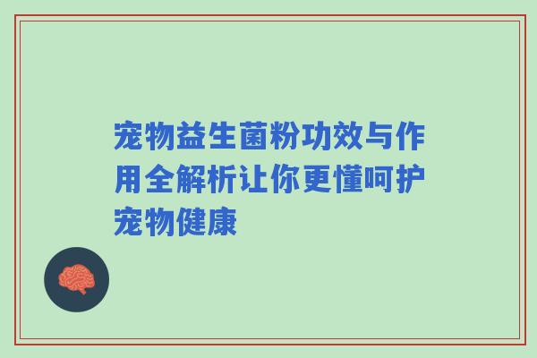 宠物益生菌粉功效与作用全解析让你更懂呵护宠物健康