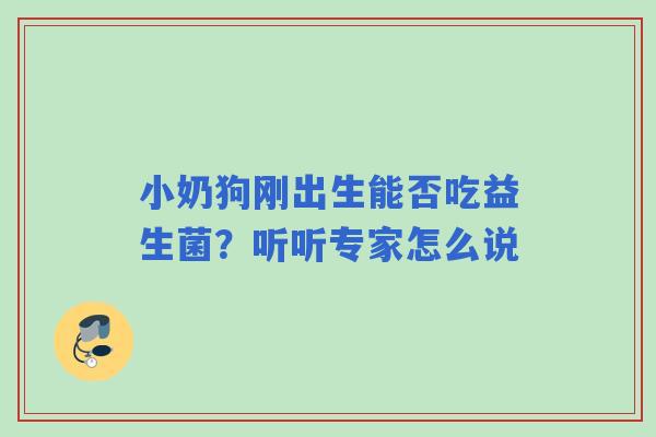小奶狗刚出生能否吃益生菌？听听专家怎么说