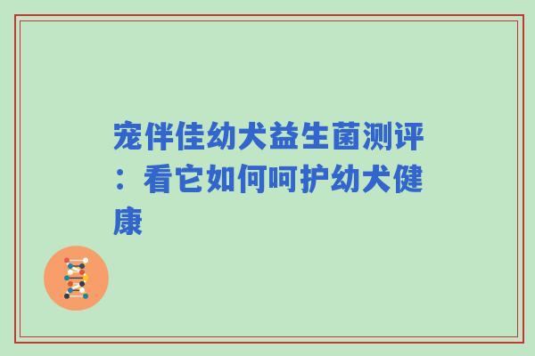 宠伴佳幼犬益生菌测评：看它如何呵护幼犬健康