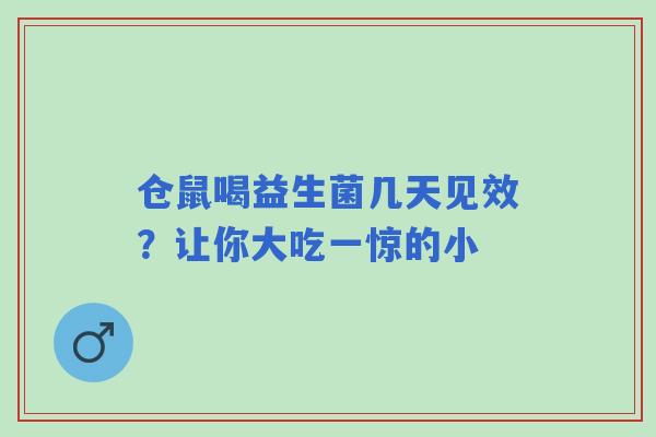 仓鼠喝益生菌几天见效？让你大吃一惊的小