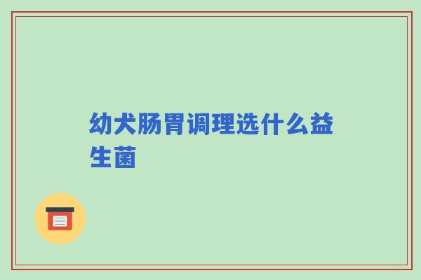 幼犬肠胃调理选什么益生菌