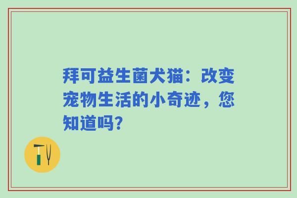 拜可益生菌犬猫：改变宠物生活的小奇迹，您知道吗？
