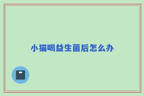 小猫喝益生菌后怎么办