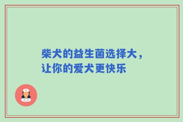 柴犬的益生菌选择大，让你的爱犬更快乐