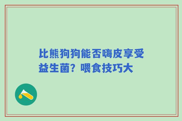 比熊狗狗能否嗨皮享受益生菌？喂食技巧大