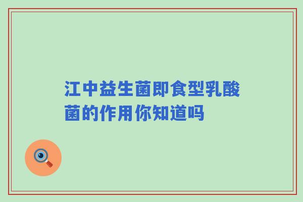 江中益生菌即食型乳酸菌的作用你知道吗