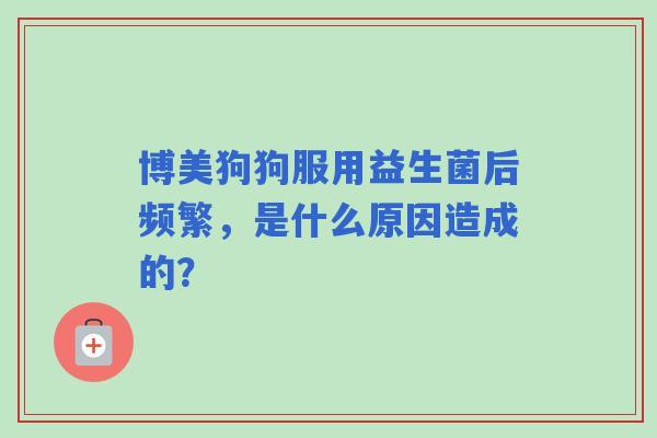 博美狗狗服用益生菌后频繁，是什么原因造成的？