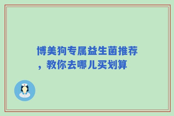 博美狗专属益生菌推荐，教你去哪儿买划算