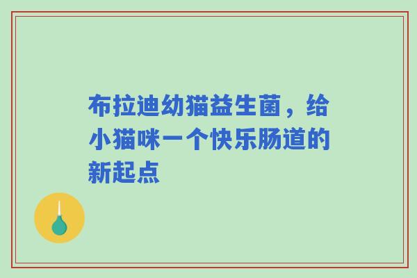 布拉迪幼猫益生菌,给小猫咪一个快乐肠道的新起点 布拉迪幼猫益生菌,给小猫咪一个快乐肠道的新起点