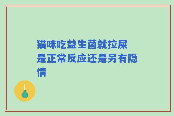 猫咪吃益生菌就拉屎 是正常反应还是另有隐情