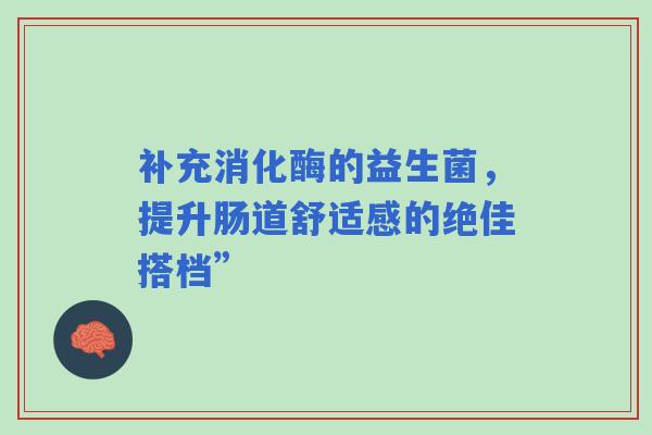 补充消化酶的益生菌，提升肠道舒适感的绝佳搭档”