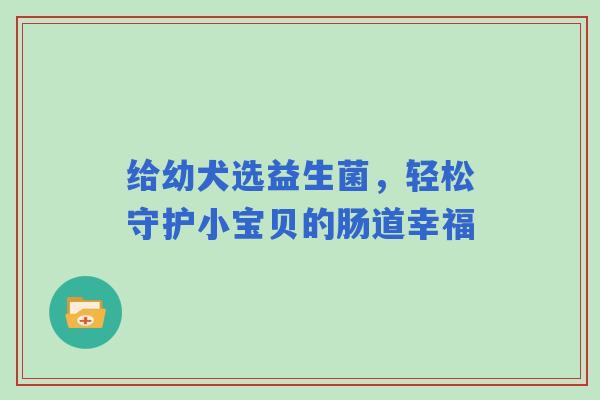 给幼犬选益生菌，轻松守护小宝贝的肠道幸福