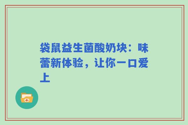 袋鼠益生菌酸奶块：味蕾新体验，让你一口爱上