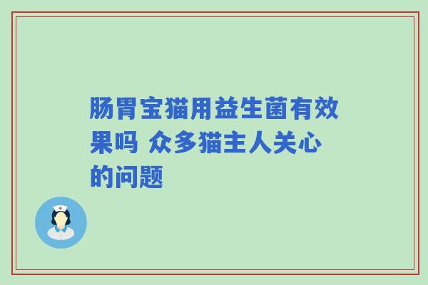 肠胃宝猫用益生菌有效果吗 众多猫主人关心的问题