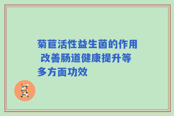 菊苣活性益生菌的作用 改善肠道健康提升等多方面功效