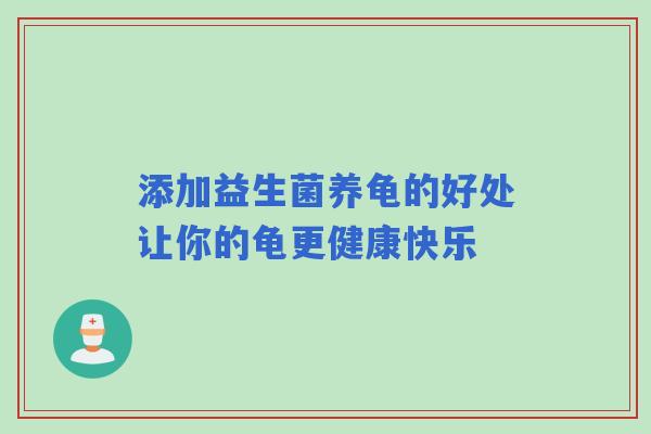 添加益生菌养龟的好处让你的龟更健康快乐