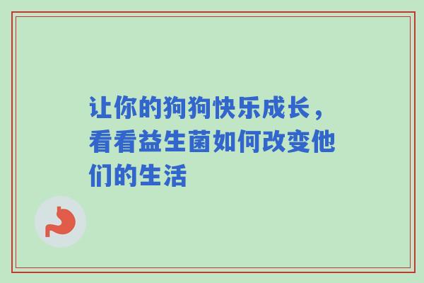 让你的狗狗快乐成长，看看益生菌如何改变他们的生活