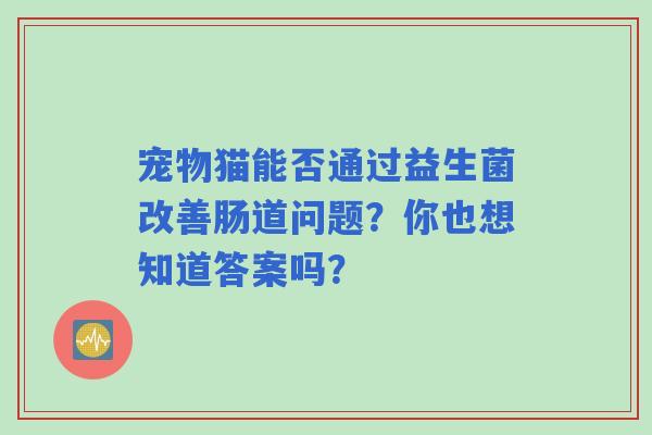 宠物猫能否通过益生菌改善肠道问题？你也想知道答案吗？