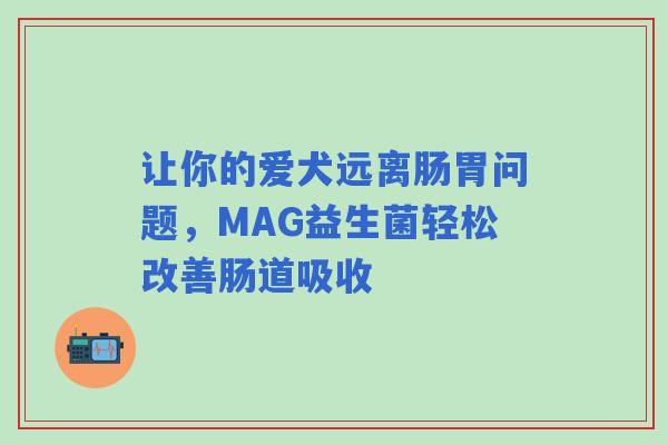 让你的爱犬远离肠胃问题，MAG益生菌轻松改善肠道吸收