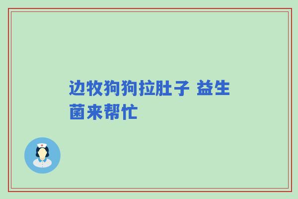 边牧狗狗拉肚子 益生菌来帮忙